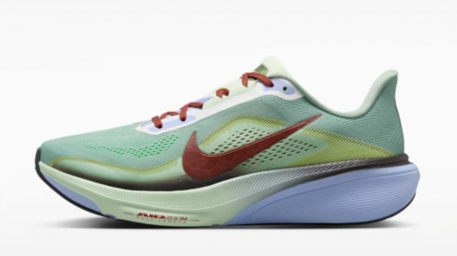 Nike Pegasus 42 SE