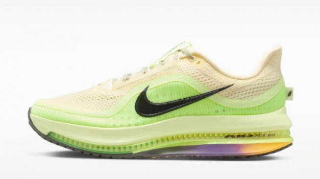 Nike Pegasus Premium