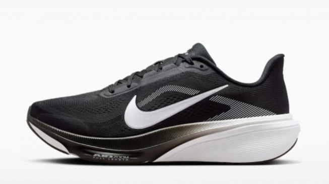 Nike Pegasus 42