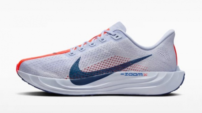 Nike Pegasus Plus