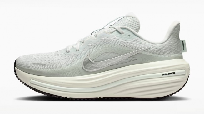 Nike Winflo 12.