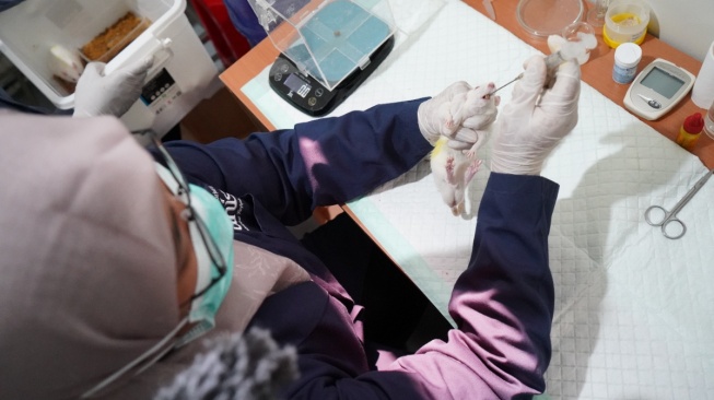 Universitas 'Aisyiyah (Unisa) Yogyakarta terus mengembangkan kapasitas penelitian melalui Laboratorium Animal House yang berada di bawah Unit Pelaksana Teknis (UPT) Laboratorium Terpadu. (Dok Unisa)