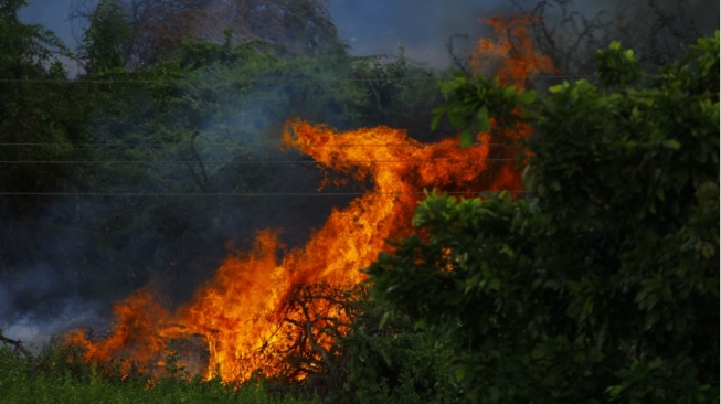 Ancaman El Nino 2026: Luas Area Terindikasi Terbakar Capai Tiga Kali Lipat Daratan Jakarta
