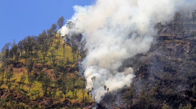 Asap mengepul dari kebakaran hutan di kawasan Taman Nasional Bromo Tengger Semeru (TNBTS), Kabupaten Probolinggo, Jawa Timur, Kamis (6/8/2026). [ANTARA FOTO/Umarul Faruq/kye]