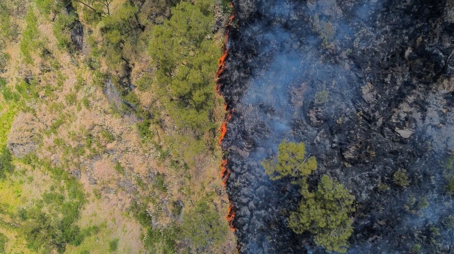 Foto udara api membakar hutan di kawasan Taman Nasional Bromo Tengger Semeru (TNBTS), Kabupaten Probolinggo, Jawa Timur, Kamis (6/8/2026). [ANTARA FOTO/Umarul Faruq/kye]