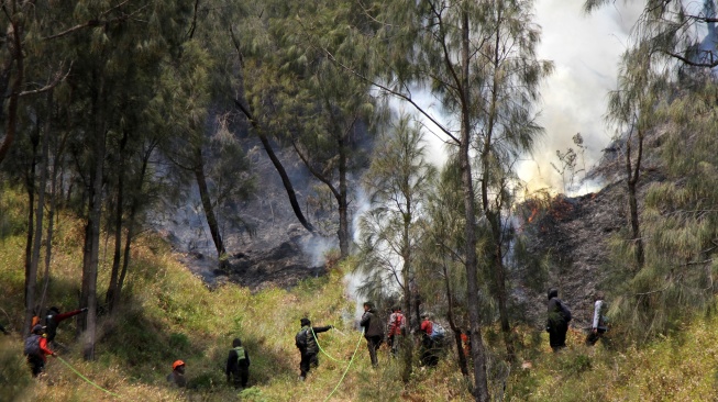 Sejumlah petugas berupaya memadamkan kebakaran hutan di kawasan Taman Nasional Bromo Tengger Semeru (TNBTS), Kabupaten Probolinggo, Jawa Timur, Kamis (6/8/2026). [ANTARA FOTO/Umarul Faruq/kye]