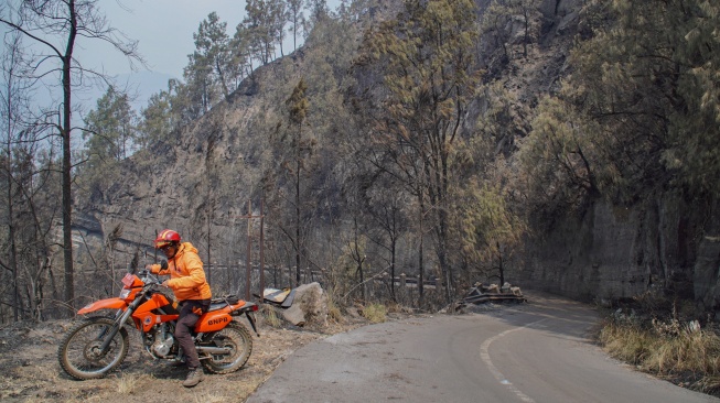 Petugas berjaga di jalur wisata pasca kebakaran di kawasan Taman Nasional Bromo Tengger Semeru (TNBTS), Kabupaten Pasuruan, Jawa Timur, Senin (10/8/2026).  [ANTARA FOTO/Irfan Sumanjaya/nz]
