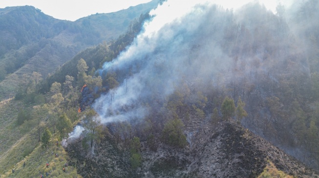 Foto udara kebakaran hutan di Tengger Semeru (TNBTS), Kabupaten Pasuruan, Jawa Timur, Senin (10/8/2026). [ANTARA FOTO/Irfan Sumanjaya/nz]