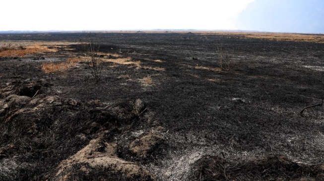 10 Hari Bromo Membara, BNPB Ungkap 3 Biang Kerok Api Sulit Jinak: Medan Curam 80 Derajat