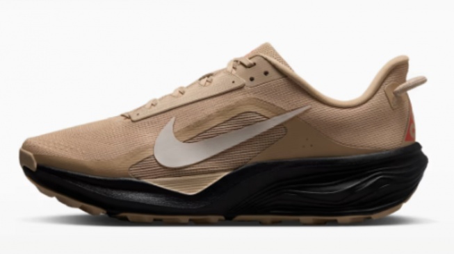 Nike ACG Pegasus Trail. [Nike]