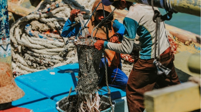 Mengejar Potensi Perikanan US$34 Miliar, Mengapa Indonesia Perlu Perkuat Energi Pesisir?