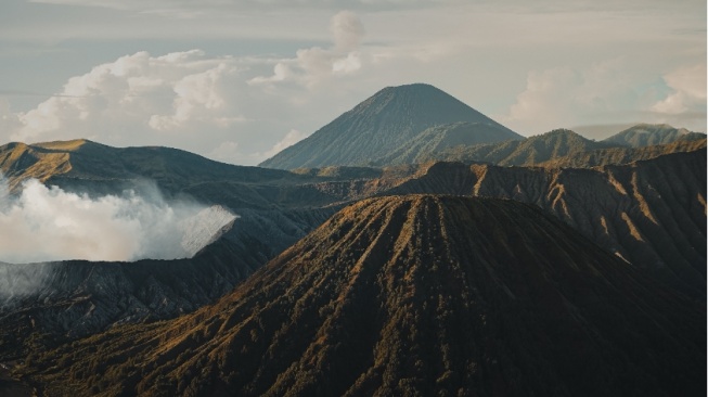 Kebakaran di Kawasan Bromo: Mengapa Pemulihan Ekosistem Tak Bisa Sekadar Menanam Pohon?