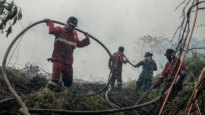 Petugas Manggala Agni Daops Pekanbaru dan personel TNI menarik selang saat berupaya memadamkan kebakaran lahan gambut yang meluas di Desa Rimbo Panjang, Kecamatan Tambang, Kabupaten Kampar, Riau, Rabu (19/8/2026). [ANTARA FOTO/Rony Muharrman/tom]
