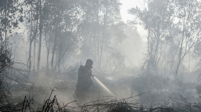 Petugas Manggala Agni Daops Pekanbaru menyemprotkan air saat berupaya memadamkan kebakaran lahan gambut yang meluas di Desa Rimbo Panjang, Kecamatan Tambang, Kabupaten Kampar, Riau, Rabu (19/8/2026). [ANTARA FOTO/Rony Muharrman/tom]