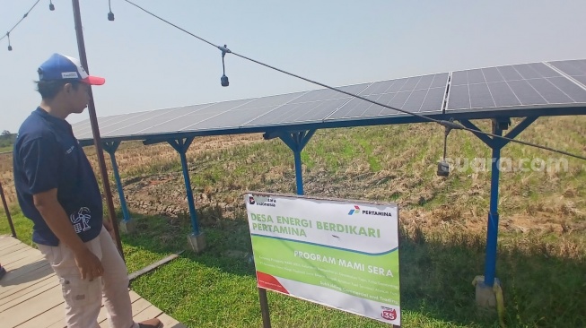 Panel Surya yang menjadi energi listrik di Pondok Mami Sera, singkatan dari Mangunharjo Mandiri Sejahtera. [Suara.com/Budi Arista Romadhoni]