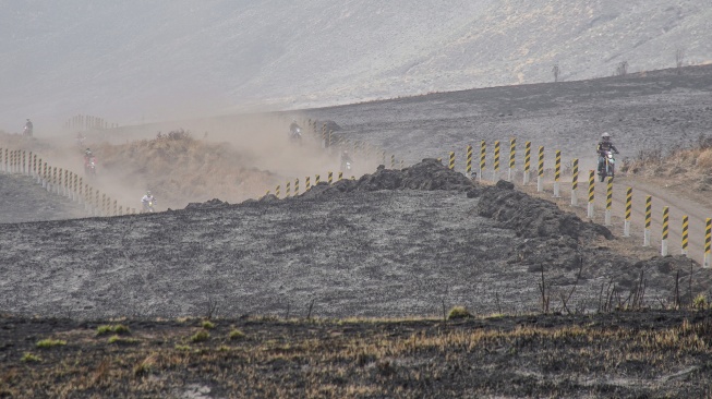 Sejumlah wisatawan melintasi kawasan terdampak kebakaran di Taman Nasional Bromo Tengger Semeru (TNBTS), Kabupaten Probolinggo, Jawa Timur, Kamis (20/8/2026). [ANTARA FOTO/Irfan Sumanjaya/nz]
