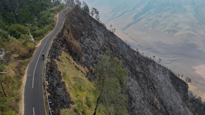 Foto udara wisatawan melintasi kawasan terdampak kebakaran hutan dan lahan di Taman Nasional Bromo Tengger Semeru (TNBTS), Jawa Timur, Kamis (20/8/2026). [ANTARA FOTO/Irfan Sumanjaya/nz]
