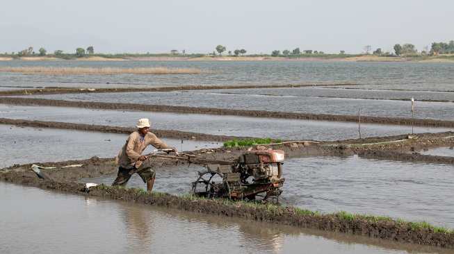 Petani membajak lahan pertanian dengan traktor di kawasan Waduk Gajah Mungkur, Wonogiri, Jawa Tengah, Kamis (20/8/2026). [ANTARA FOTO/Mohammad Ayudha/nym]
