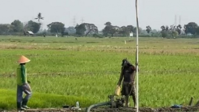 Titik-Titik Terparah Krisis Air Bersih di Kabupaten Bekasi: Wilayah Ini Paling Menderita