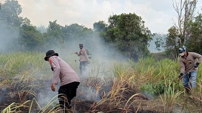Kebakaran hutan dan lahan (karhutla) kembali melanda kawasan Taman Nasional Way Kambas (TNWK), Kabupaten Lampung Timur, Sabtu (22/8/2026). [Dok Humas Polda Lampung]