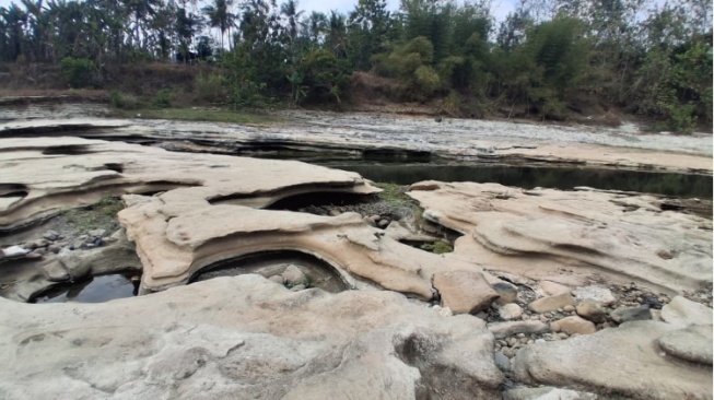 Korban FOMO Merapat! Eksotisnya Wajah Sungai Bogowonto Purworejo Saat Surut