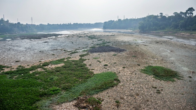 Kondisi aliran Sungai Citarum yang debit airnya menyusut di Cihampelas, Kabupaten Bandung Barat, Jawa Barat, Jumat (21/8/2026). [ANTARA FOTO/Abdan Syakura/YU]