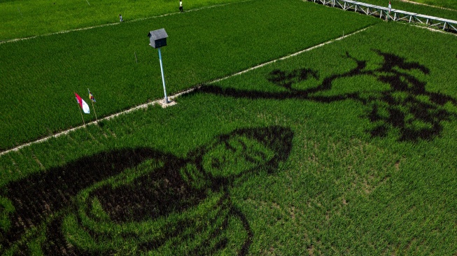 Foto udara warga berjalan di dekat karya seni pari corek bergambar Sang Buddha karya seniman Sidik Gunawan di area persawahan Dusun Sidorejo, Bergas Lor, Kabupaten Semarang, Jawa Tengah, Selasa (25/8/2026). [ANTARA FOTO/Aprillio Akbar/kye]