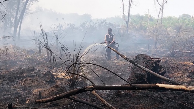Tim pemadam mencoba memadamkan kebakaran hutan dan lahan (karhutla) di wilayah Riau. [Ist]