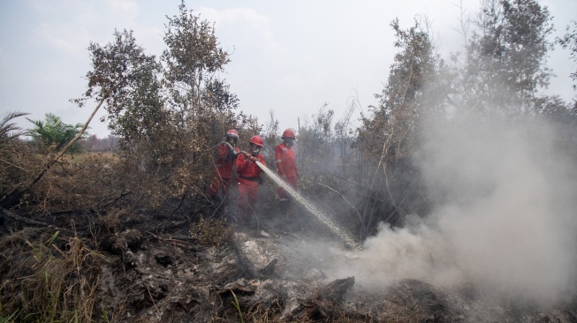 Petugas dari Manggala Agni Daops Sumatera XVI-Lahat memadamkan kebakaran lahan gambut di Desa Kota Bumi, Kecamatan Tanjung Lubuk, Kabupaten Ogan Komering Ilir (OKI), Sumatera Selatan, Rabu (26/8/2026).  [ANTARA FOTO/Nova Wahyudi/nym]