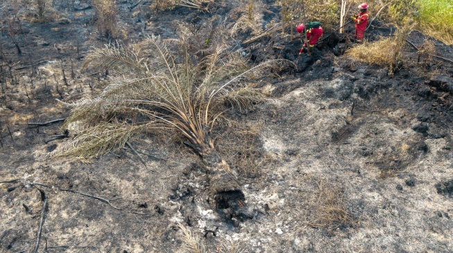 Foto udara Petugas dari Manggala Agni Daops Sumatera IX-Kota Jambi melakukan pemadaman kebakaran lahan gambut di Desa Kota Bumi, Kecamatan Tanjung Lubuk, Kabupaten Ogan Komering Ilir (OKI), Sumatera Selatan, Rabu (26/8/2026). [ANTARA FOTO/Nova Wahyudi/nym]