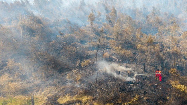 Foto udara Petugas dari Manggala Agni Daops Sumatera XVII-OKI melakukan pemadaman kebakaran lahan gambut di Desa Kota Bumi, Kecamatan Tanjung Lubuk, Kabupaten Ogan Komering Ilir (OKI), Sumatera Selatan, Rabu (26/8/2026). [ANTARA FOTO/Nova Wahyudi/nym]