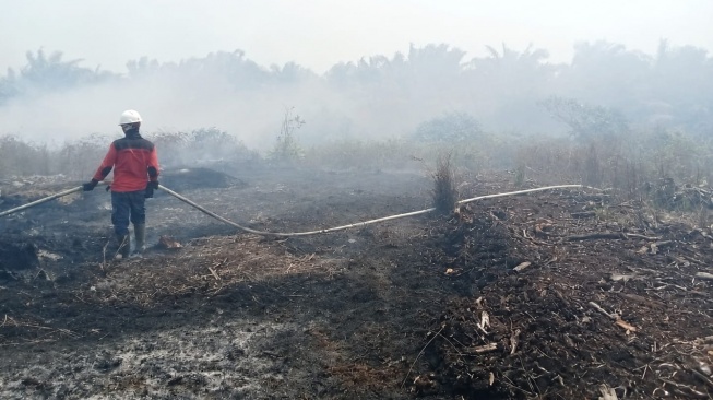 Kesiapsiagaan Karhutla Berbasis Sains Diperkuat Jelang Puncak Kemarau