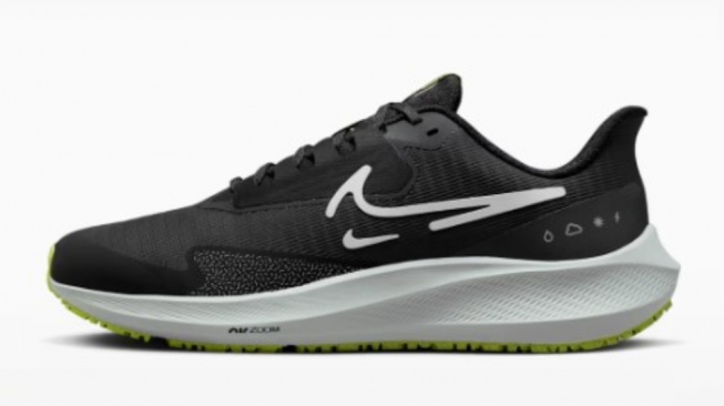 Nike Pegasus 39 Shield