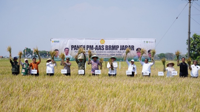 Lucky Hakim merayakan panen padi para petani di Indramayu. Panen padi di Indramayu kali ini tercatat melonjak signifikan, melampaui rata-rata produktivitas nasional. [dokumentasi pribadi]