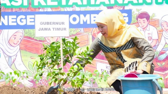 Gubernur Khofifah bersama Menteri PPPA juga berkesempatan menanam bibit jeruk madu. (Dok: Pemprov Jatim)
