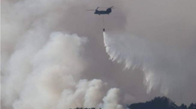 Darurat Karhutla Kalimantan, Jepang Kirim 600 Pasukan Khusus dan Kapal Amfibi