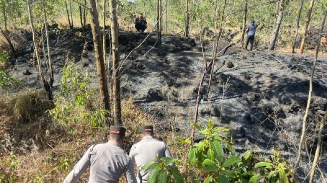 Dua Kali Sebulan Terbakar! 2 Hektare Hutan Gunung Batur Kintamani Ludes