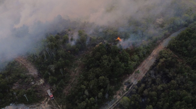 Foto udara kebakaran lahan di kawasan Kariangau, Balikpapan, Kalimantan Timur, Minggu (30/8/2026). [ANTARA FOTO/Angga Palguna/nym]
