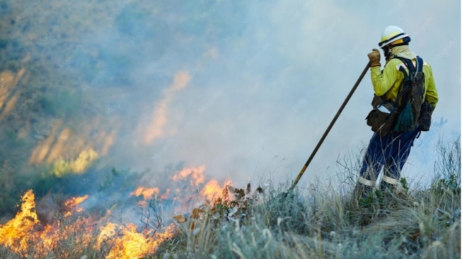 248 Hektare Lahan Sumut Terbakar Dalam 8 Bulan! Terparah Labuhanbatu