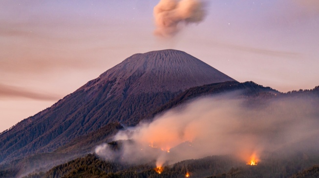 Suasana api membakar kawasan hutan di lereng Gunung Semeru, kawasan Taman Nasional Bromo Tengger Semeru (TNBTS), Lumajang, Jawa Timur, Senin (31/8/2026). [ANTARA FOTO/Irfan Sumanjaya/agr]
