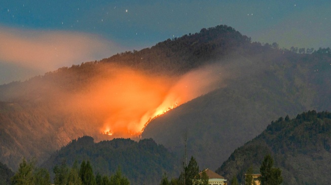 Suasana api membakar kawasan hutan di lereng Gunung Semeru, kawasan Taman Nasional Bromo Tengger Semeru (TNBTS), Lumajang, Jawa Timur, Senin (31/8/2026). [ANTARA FOTO/Irfan Sumanjaya/agr]