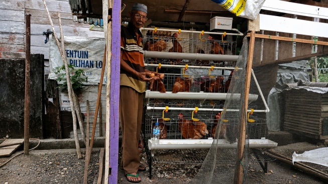 Dari Menganggur hingga Panen Telur, Amat Rasakan Manfaat Program Ayam Petelur PTBA