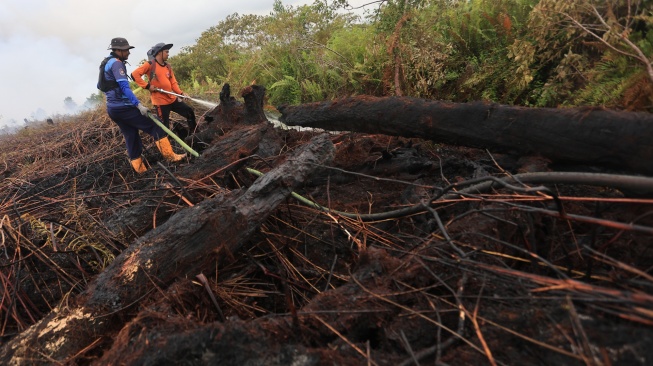 Petugas Badan Penanggulangan Bencana Daerah (BPBD) Aceh Barat memadamkan dan mendinginkan lahan gambut yang terbakar di Desa Masjid Baro, Kecamatan Samatiga, Aceh Barat, Aceh, Selasa (1/9/2029). [ANTARA FOTO/Syifa Yulinnas/tom]
 