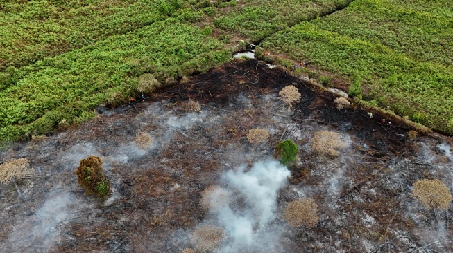 Foto udara sejumlah petugas Badan Penanggulangan Bencana Daerah (BPBD) Aceh Barat melakukan proses pemadaman dan pendinginan kebakaran hutan dan lahan (karhutla) di lahan gambut Desa Masjid Baro, Kecamatan Samatiga, Aceh Barat, Aceh, Selasa (1/9/2029). [ANTARA FOTO/Syifa Yulinnas/tom]