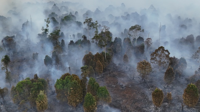 Foto udara kebakaran hutan dan lahan (karhutla) di lahan gambut Desa Masjid Baro, Kecamatan Samatiga, Aceh Barat, Aceh, Selasa (1/9/2029). [ANTARA FOTO/Syifa Yulinnas/tom]