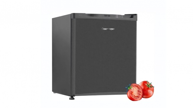 Changhong CBC 50 - kulkas mini untuk asi (ist)