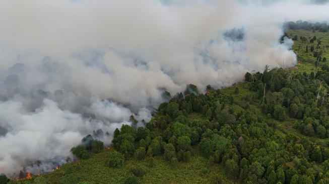 Foto udara kebakaran hutan dan lahan (karhutla) di lahan gambut Desa Masjid Baro, Kecamatan Samatiga, Aceh Barat, Aceh, Selasa (1/9/2029). [ANTARA FOTO/Syifa Yulinnas/tom]