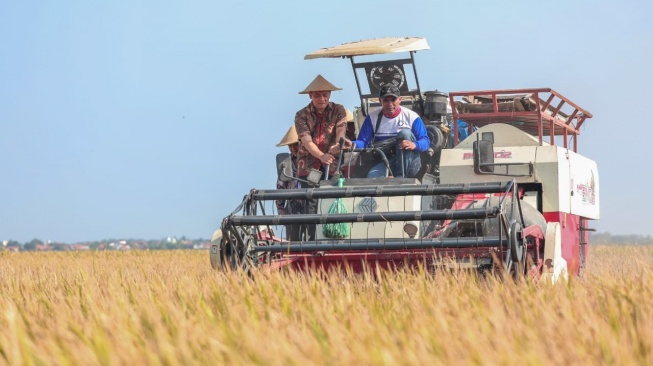 Antisipasi Gagal Panen! Pemprov Jateng Siapkan Asuransi 10 Ribu Hektar Sawah Lewat Jamkrida