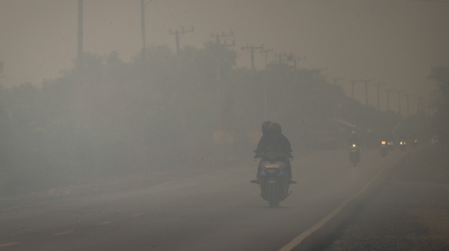 Kabut Asap Karhutla Kepung Kalimantan Selatan