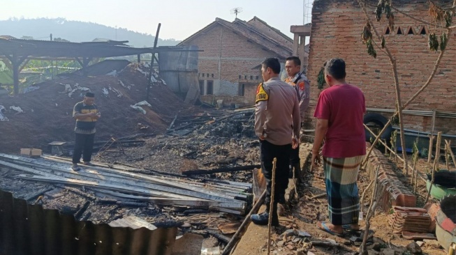 Kebakaran Kandang di Way Laga: 17 Kambing Terpanggang Hidup-hidup, Kerugian Tembus Rp300 Juta